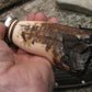Treeman  Hammermark Fossil Ivory Camp Knife 
