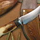 BIG BAY Skinner fossil Walrus 