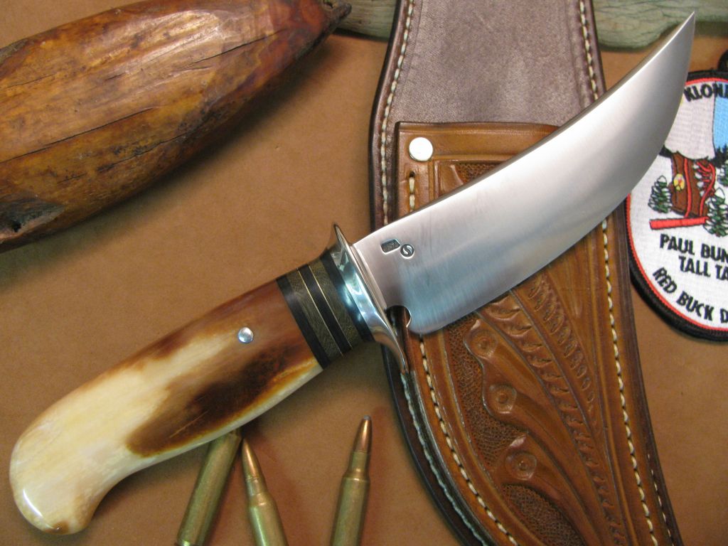 BIG BAY Skinner fossil Walrus 