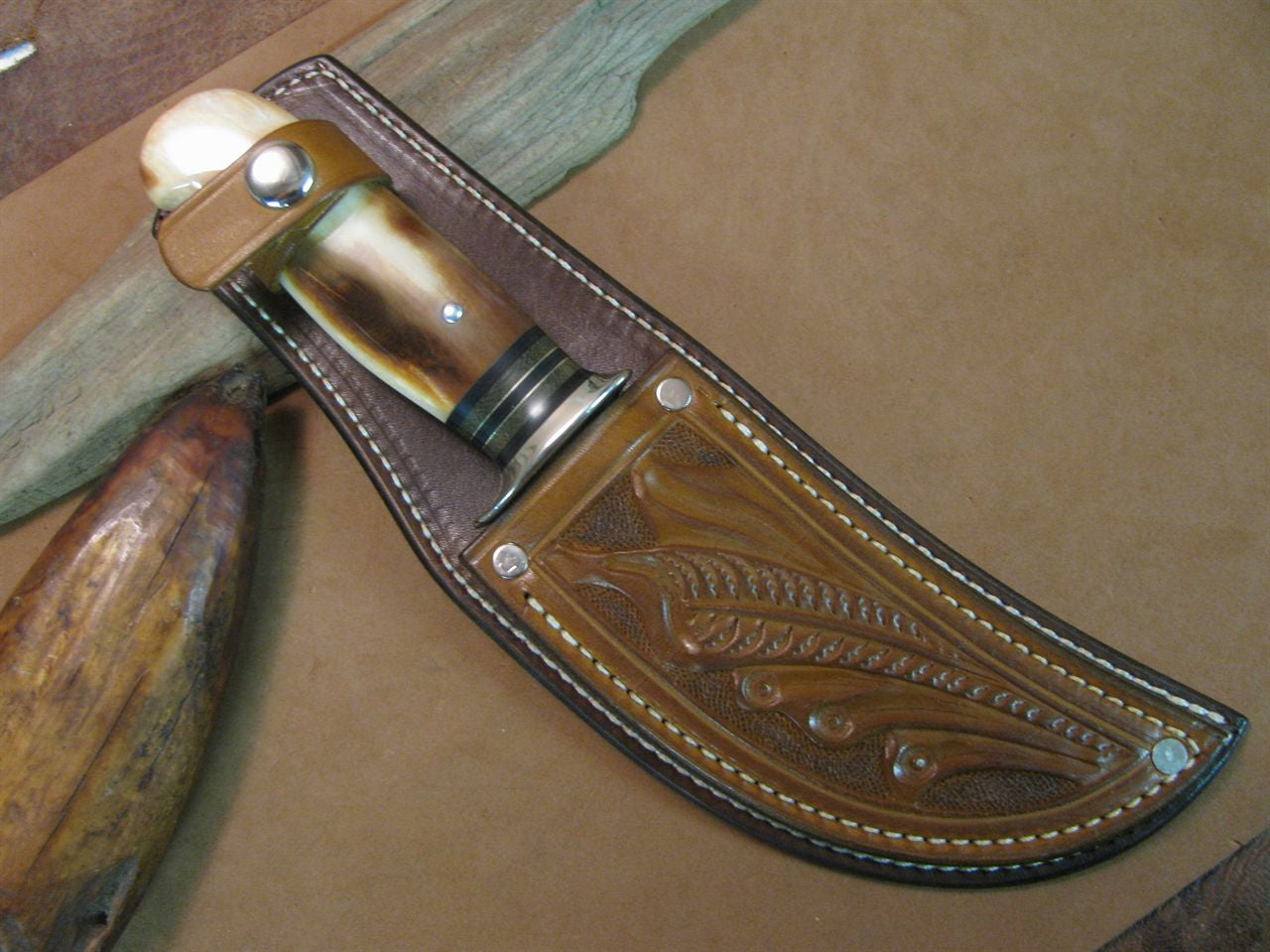 BIG BAY Skinner fossil Walrus 