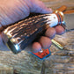 Exhibition Grade Sambar Stag  Skinner