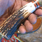 Exhibition Grade Sambar Stag  Skinner