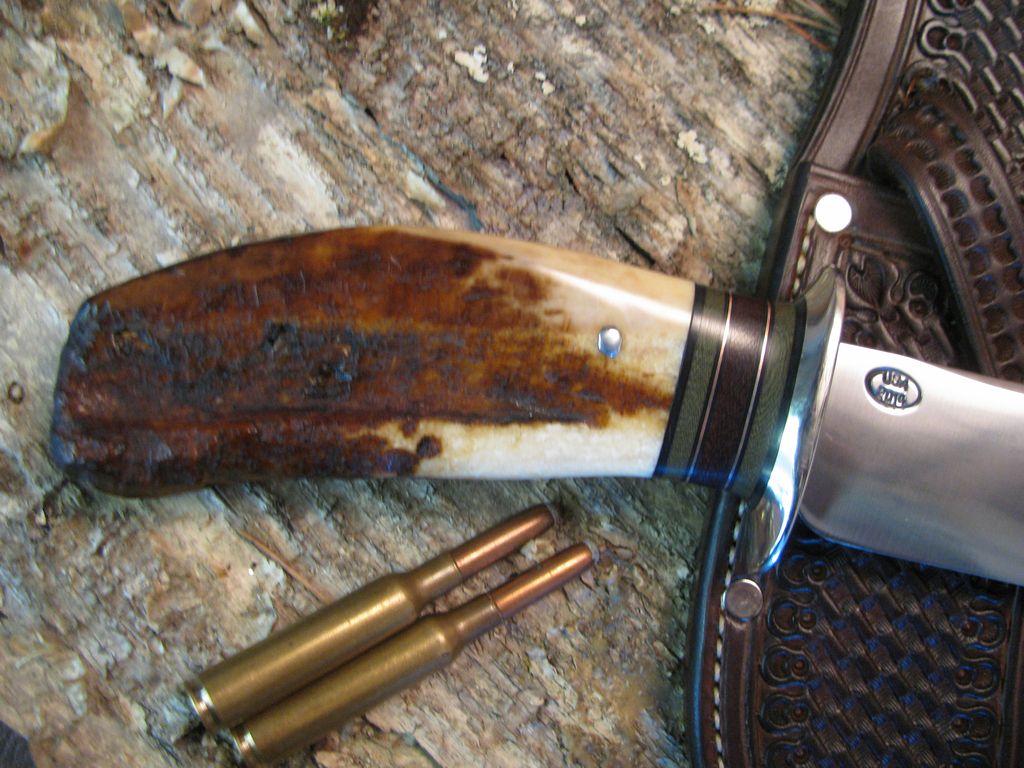 Ivory Sledrunner