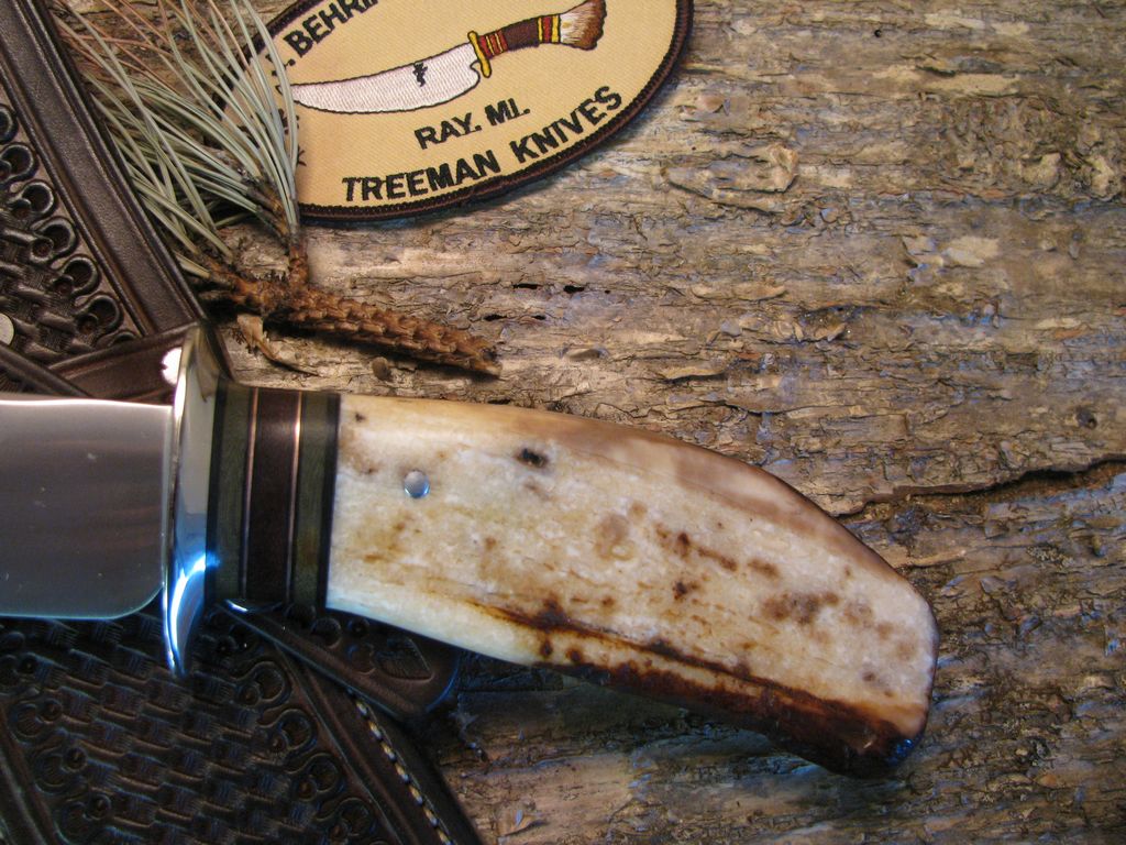 Ivory Sledrunner