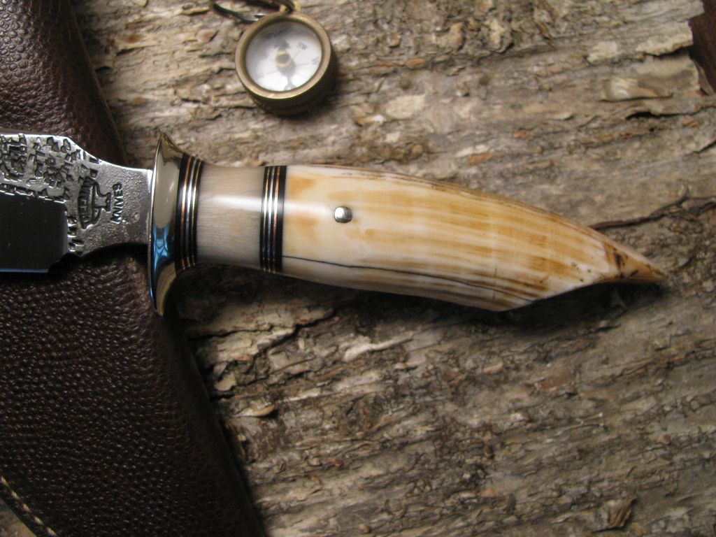 Alaskan Hammermark Hippo tooth Ivory
