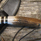 7" Hunter/Fighter Stag Lanyard