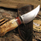 Walrus Fossil Ivory Caper