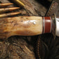 Walrus Fossil Ivory Caper