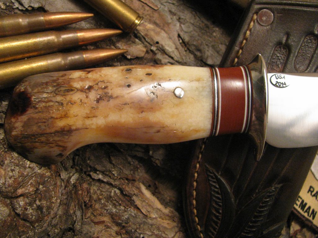 Walrus Fossil Ivory Caper