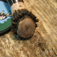 Treeman Big Bay Hunter ~Scagel Style Crown Stag