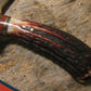 **TREEMAN Woodmonk Carver Stag handle 6" Blade