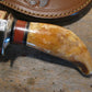  Treeman Cave Bear Tooth Hunter 