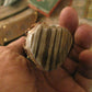 J. Behring Handmade Iron Mt. Hunter AAA  Stag & Musk Ox