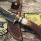 Michigan Stag Skinner  Beavertail Sheath!!
