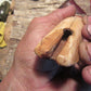 J. Behring Handmade Alaskan Artifact Walrus Ivory Sled Runner handle