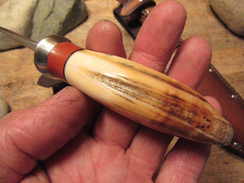 Treeman Hippo Tooth Caper Elephant ear sheath