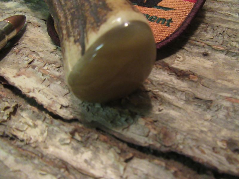Michigan Hunter Stag MuskOx Upswept 51/2" blade