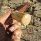 J. Behring Handmade Artifact Ivory & Ox Deer & Trout Knife
