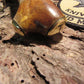 Treeman Hunter/ Skinner 4 1/2" Leather stag
