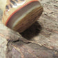 Treeman Trout and Deer Studebaker Stag Border Patrol handle