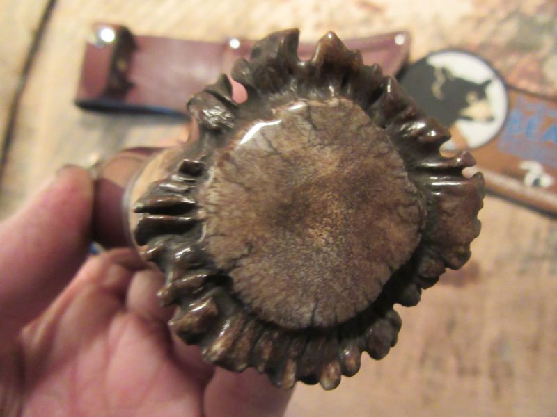 Treeman Fox River Hunter Horsehide crown Stag 