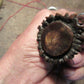 Old School Trout & Bird Crown Stag Horse hide 