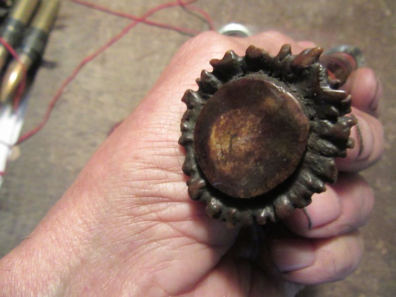 Old School Trout & Bird Crown Stag Horse hide 