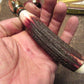    Big Bay Hunter Red Stag Hippo Cap Shark Skin Sheath