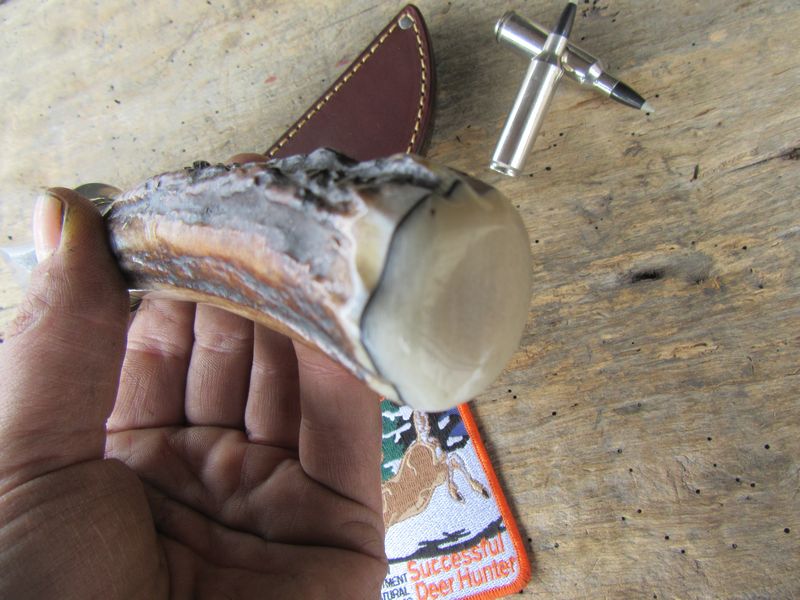       Hammer mark Big Bay Hunter