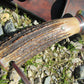 Treeman Knives XL Copper Harbor Fatty