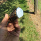 Treeman Knives Fox River Hunter