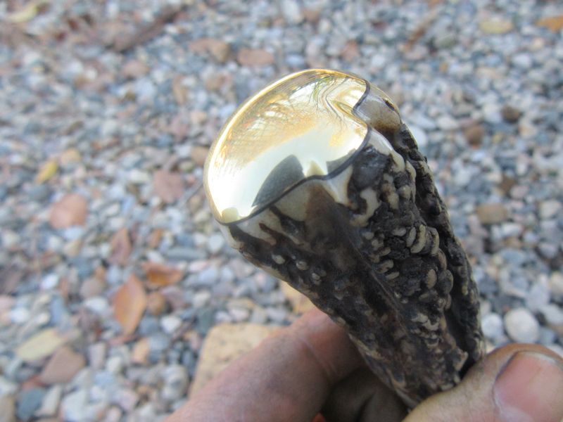 Treeman Knives Fox River Hunter
