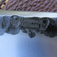 J.Behring Treeman Double Skull Hammer Mark .308 Fighter 