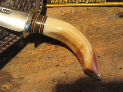 Hippo Tooth Caper
