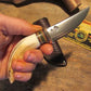 Hippo Tooth Caper