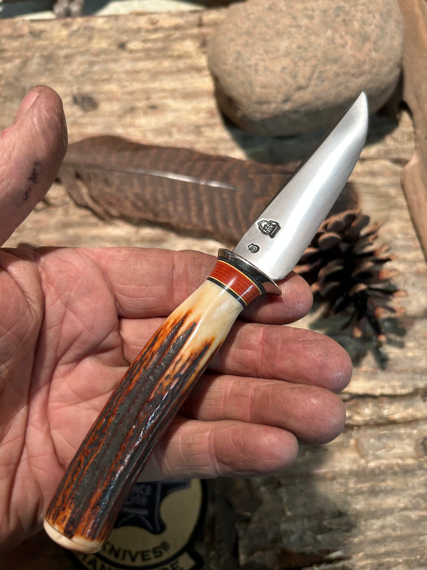 Treeman Trout Knife 120 Years old German Red Stag AEB-L Stainless Shark Sheath