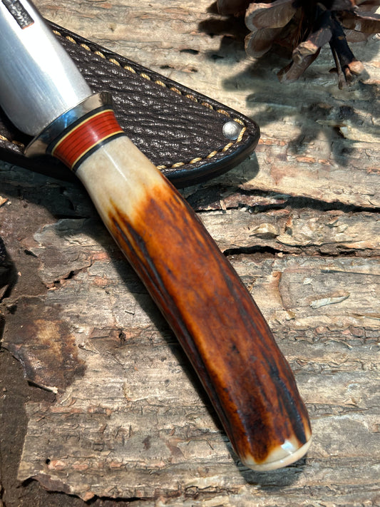 Treeman Trout Knife 120 Years old German Red Stag AEB-L Stainless Shark Sheath