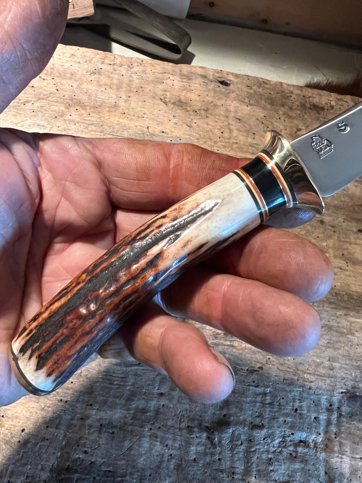 J. Behring Handmade Stainless AEB-L Trout Knife Stag