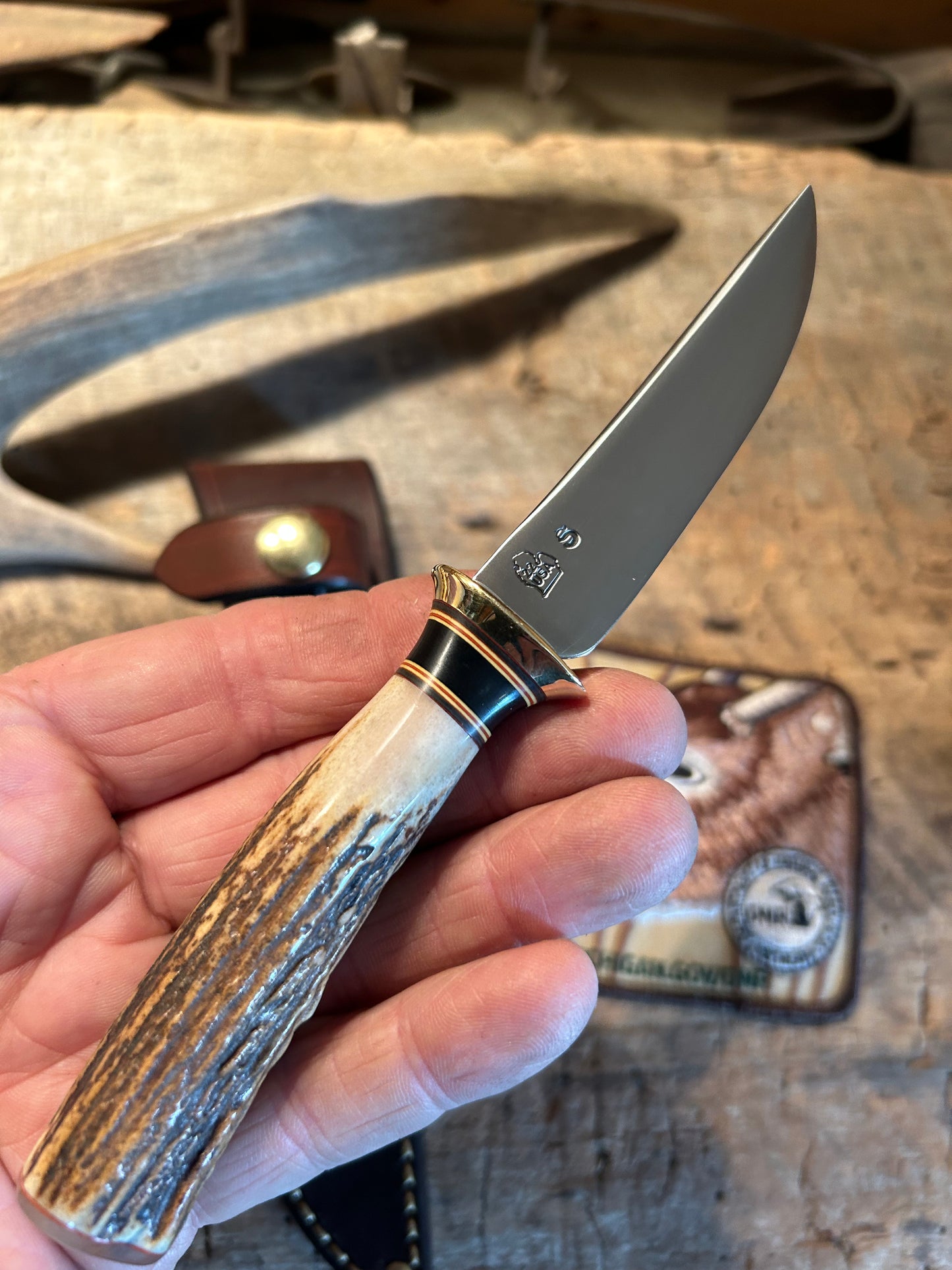 J. Behring Handmade Stag Ox Stainless Trout Knife