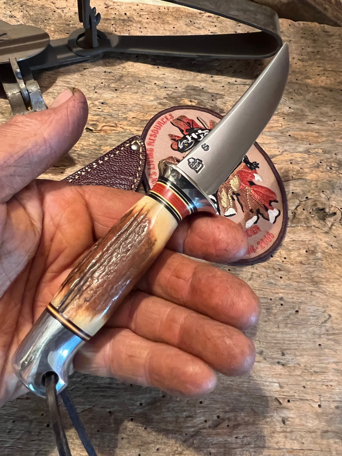 Treeman Trout & Bird 3 3/4" Blade AEB-L Stainless Stag Aluminum