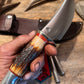 Fox River AAA 120 year old stag Aluminum Butt Shark Sheath